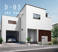 D-03 sky house